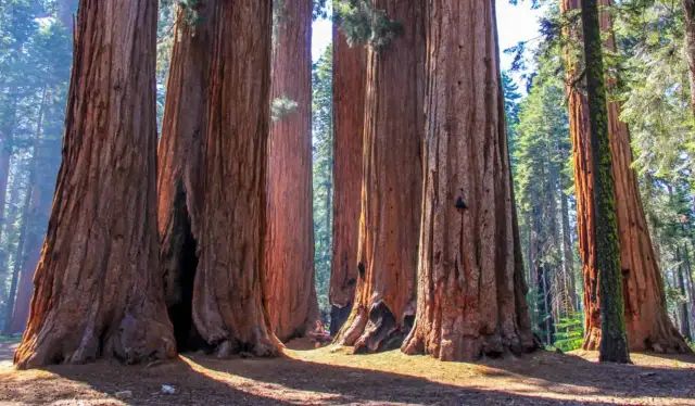 Gdzie powstał pierwszy park narodowy na świecie i dlaczego to ważne