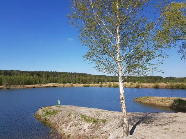 Łowisko Kormoran w Sulęcinie – idealne miejsce na wędkowanie i relaks