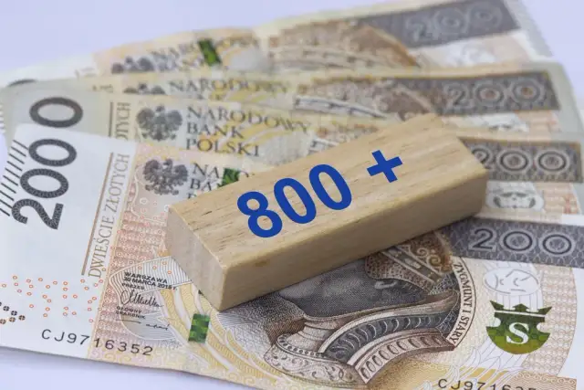 800 plus dla seniora: Czy to pewne? Status i szanse petycji