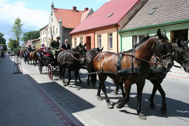 Najlepsze atrakcje w Sierakowie – co warto zobaczyć i przeżyć