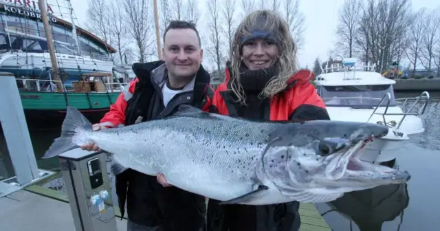 Łosoś w Bałtyku: Czy naprawdę tam jest? Poznaj fakty!