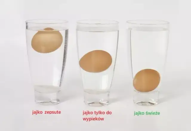 Jak sprawdzić świeżość jajek? Najskuteczniejsze metody