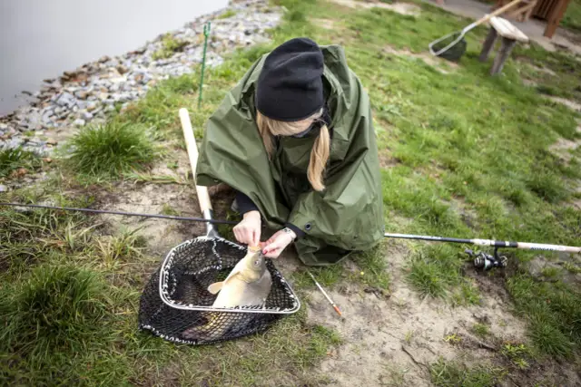 Gdzie zjeść przy Stawach Milickich? Najlepsze lokale z rybami