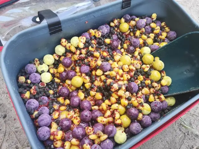 Skuteczna zanęta na karpia: przepisy DIY i gotowe mieszanki