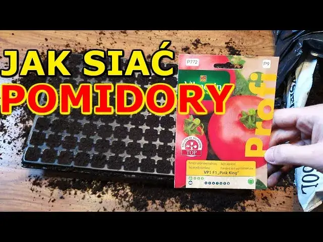 Kiedy siać pomidory na rozsadę, aby uniknąć słabych siewek