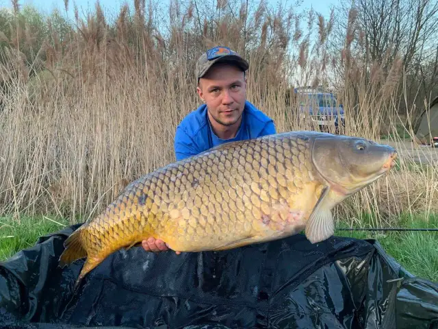 Łowisko pod lasem Rybnik - idealne miejsce na wędkarską przygodę