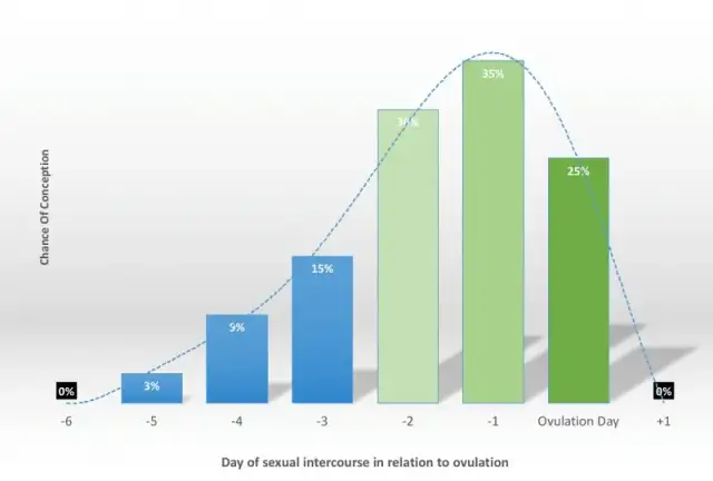 Ile po owulacji zapłodnienie? Maksymalizuj szanse na ciążę.