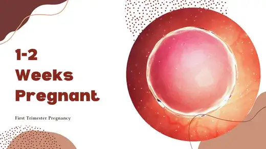 Objawy ciąży pierwsze dwa tygodnie: co może Cię zaskoczyć?