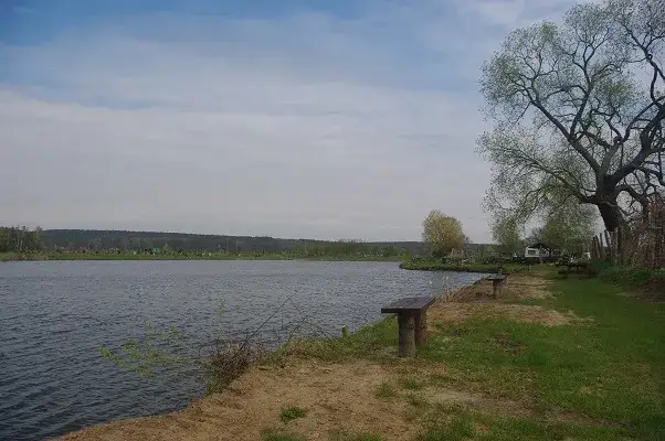 łowisko u Macieja - idealne miejsce na wędkarskie przygody w Mosinie