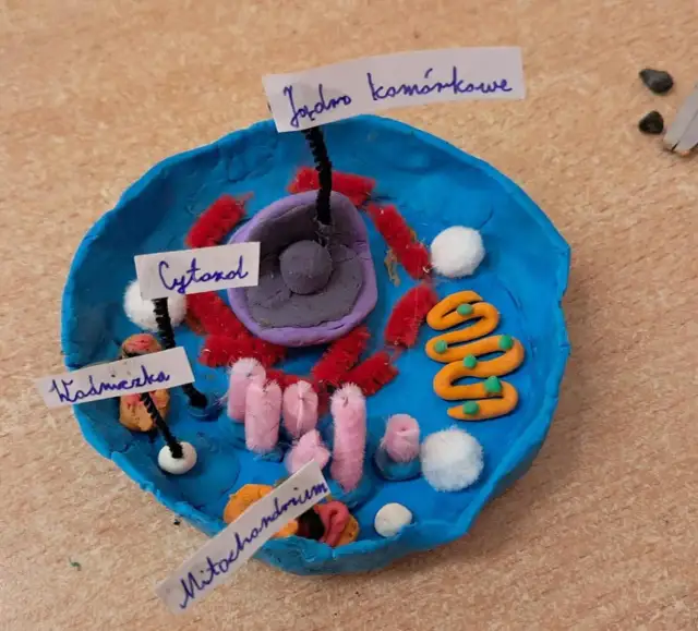 Zajęcia kreatywne z biologii: Jak rozwijać pasje uczniów w szkole