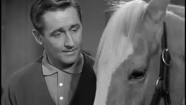 Mówiący koń Pan Ed: Odkryj sekrety i prawdziwą komunikację