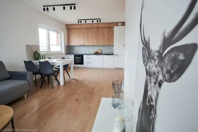 Wynajem od spółdzielni: jak znaleźć i uniknąć pułapek?