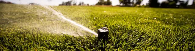 Jaki zraszacz wynurzalny wybrać, aby uniknąć problemów z nawadnianiem?