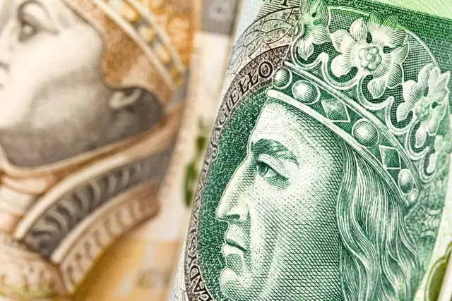 Zbliżenie na polskie banknoty. Zastanawiasz się, kiedy kupić obligacje skarbowe?