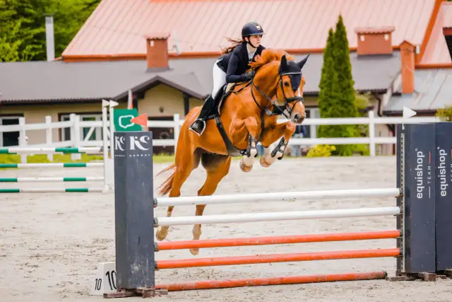 Stadnina koni Legnica: Ceny, oferta, jak wybrać idealną stajnię?