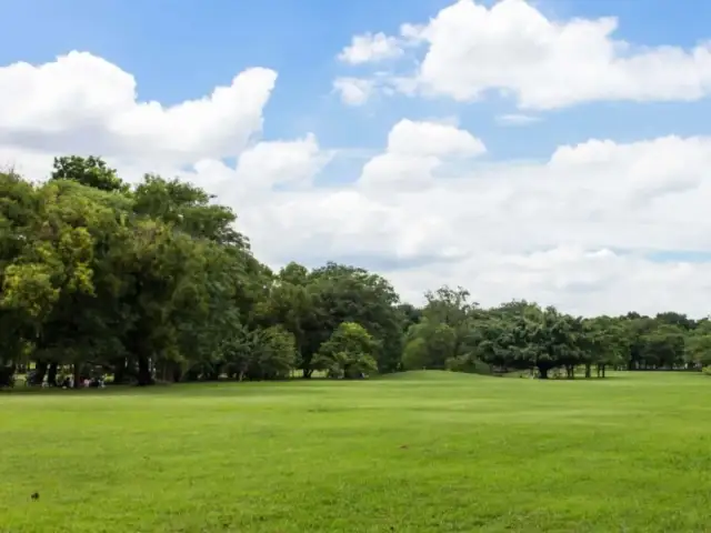 Jak sprawdzić zadłużenie nieruchomości? Pełny przewodnik!
