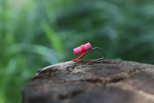 Haczyk karpiowy: Jak wybrać, by łowić więcej i bezpieczniej?