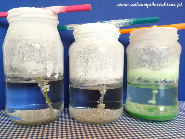 Jak zrobić kryształy soli w słoiku? Prosty eksperyment dla dzieci