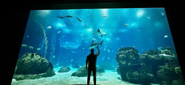 Najlepsze oceanaria w Węgrzech: co warto zobaczyć i zwiedzić