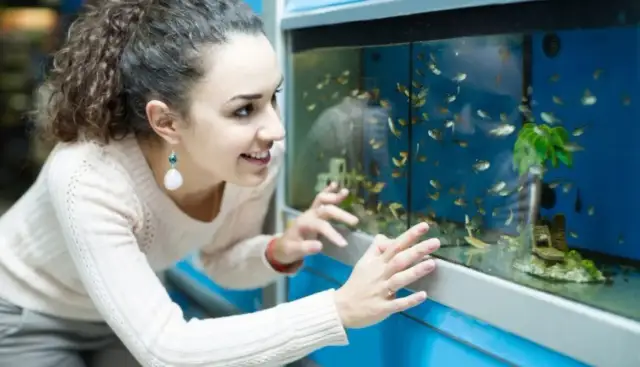 Czy rybki potrzebują światła? Odkryj, jak zapewnić im zdrowie