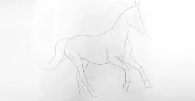 Jak namalować konia krok po kroku - proste techniki rysowania