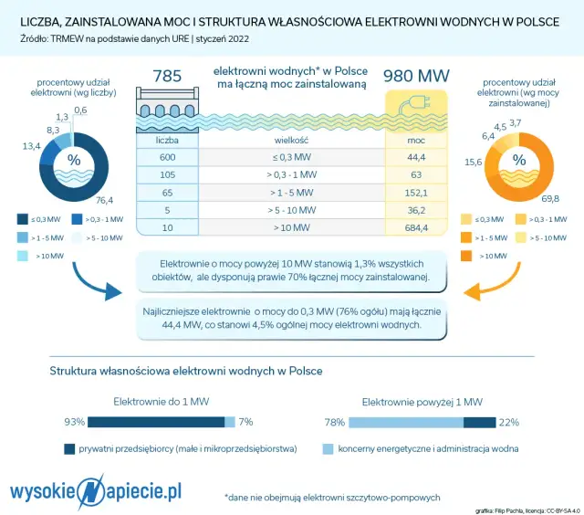 Małe Elektrownie Wodne (MEW): Koszt, Budowa, Opłacalność w Polsce
