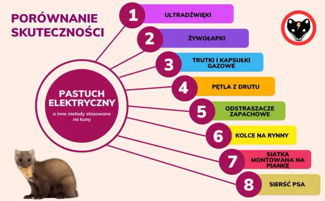Porównanie skuteczności metod co odstrasza kuny: pastuch elektryczny, ultradźwięki, żywołapki, trutki, odstraszacze zapachowe, sierść psa i inne.