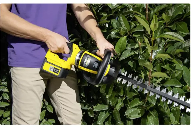 Jakie nożyce do żywopłotu wybrać, aby uniknąć błędów w pielęgnacji?