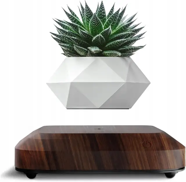 Lewitująca doniczka: Jak działa i jaką wybrać do dekoracji wnętrz?