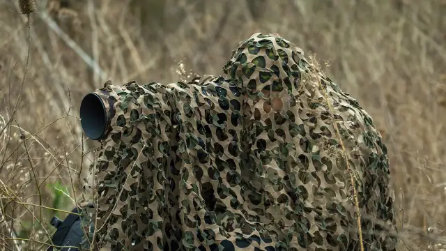 Fotografia przyrodnicza - Jak zacząć i robić lepsze zdjęcia?