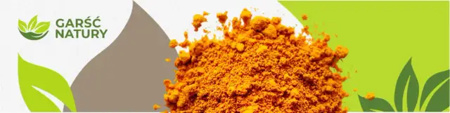 Curry: Zdrowotne właściwości i pułapki. Jak jeść mądrze?