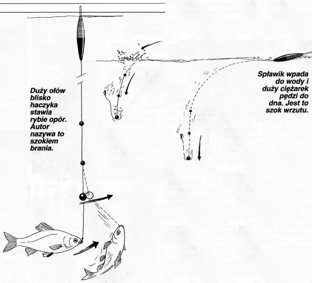 Wędka na spławik: Jak wybrać idealną? Dopasuj do łowiska i ryb!