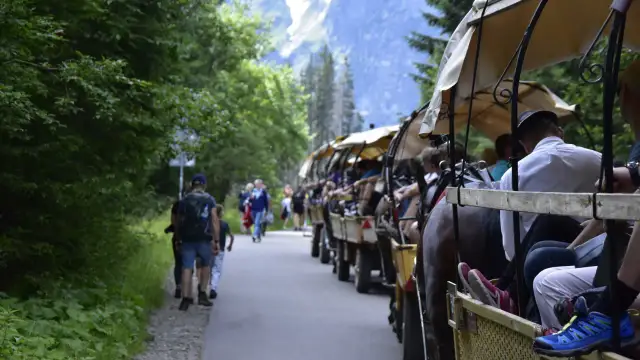 Ile kosztuje przejażdżka bryczką w Dolinie Kościeliskiej? Ceny