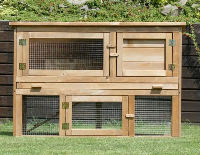 Idealna klatka dla królika: wymiary, wyposażenie i komfort