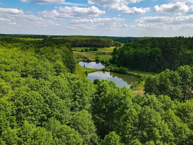 Gdzie na kajaki Zachodniopomorskie? Odkryj idealny szlak!