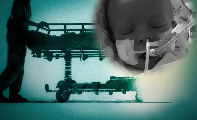 Echo serca czy EKG? Odkryj, co naprawdę widzi Twoje serce