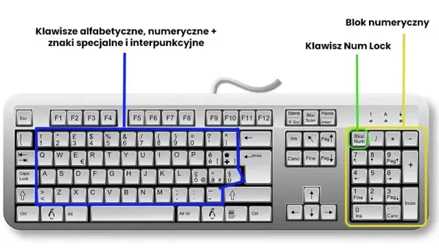 Jakie klawisze do drukowania? Ctrl+P i inne skróty, które musisz znać