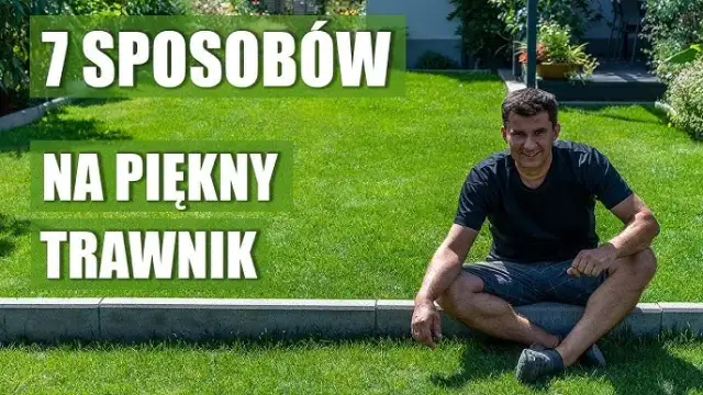 Trawnik na tarasie: Marzenie o zieleni? Kompletny poradnik!