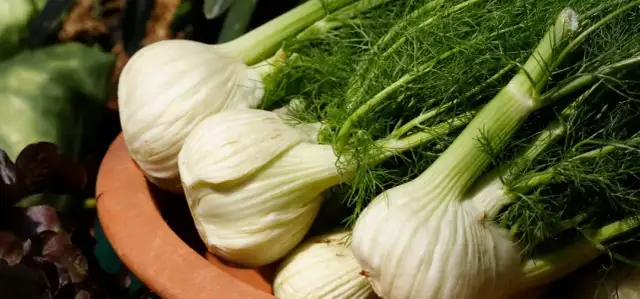 Co warto uprawiać w ogrodzie, aby uniknąć nieudanych zbiorów?