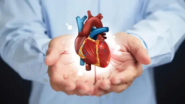 Jak podnieść dobry cholesterol i poprawić zdrowie serca w 7 krokach