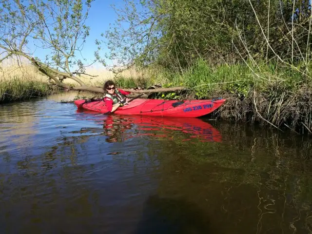 Czy pływanie kajakiem jest trudne? Łatwiejsze niż myślisz!
