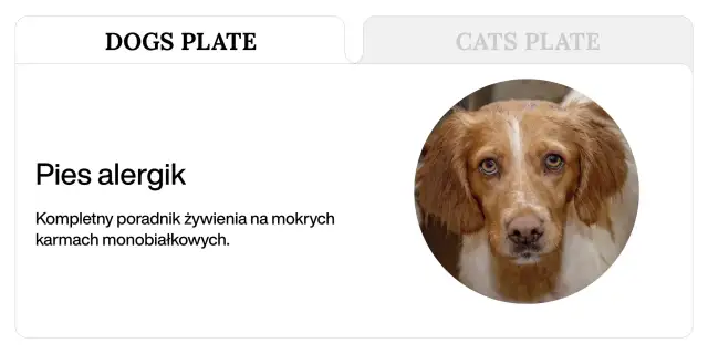 Pies się drapie? Karma dla psa z alergią skórną - poradnik