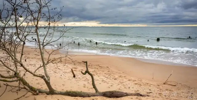 Najlepsze atrakcje w Jezierzanach, które musisz zobaczyć w tym roku