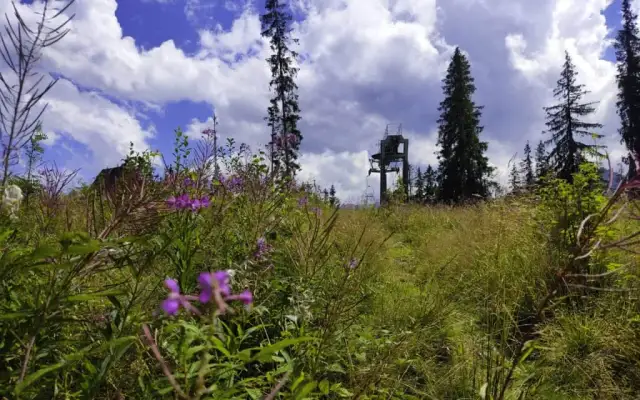 Butorowy Wierch Kościelisko: Pieszo na szczyt? Widoki lepsze niż z Gubałówki!