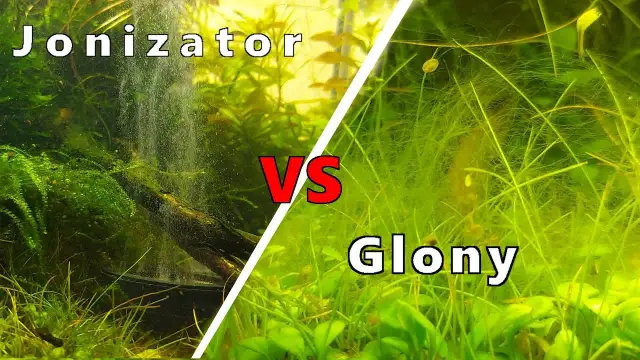 Jonizator do akwarium czy warto? Odkryj prawdę o jego skuteczności