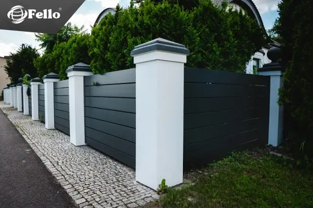 Tuja Brabant ile od płotu? Poznaj kluczowe zasady sadzenia