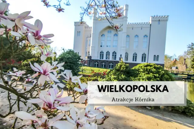 Najlepsze atrakcje w Kórniku, które musisz zobaczyć podczas wizyty