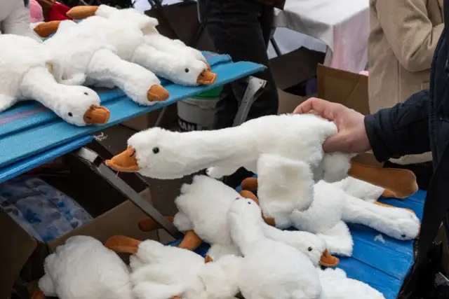 Skąd moda na pluszowe gęsi? Jak Pipa podbiła serca młodych ludzi