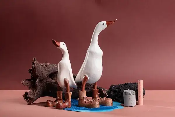 Kaczka w symbolice: znaczenie i interpretacje kulturowe