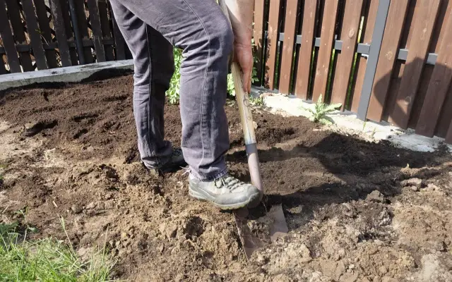 Kiedy przekopać działkę na wiosnę, aby uniknąć błędów w ogrodzie